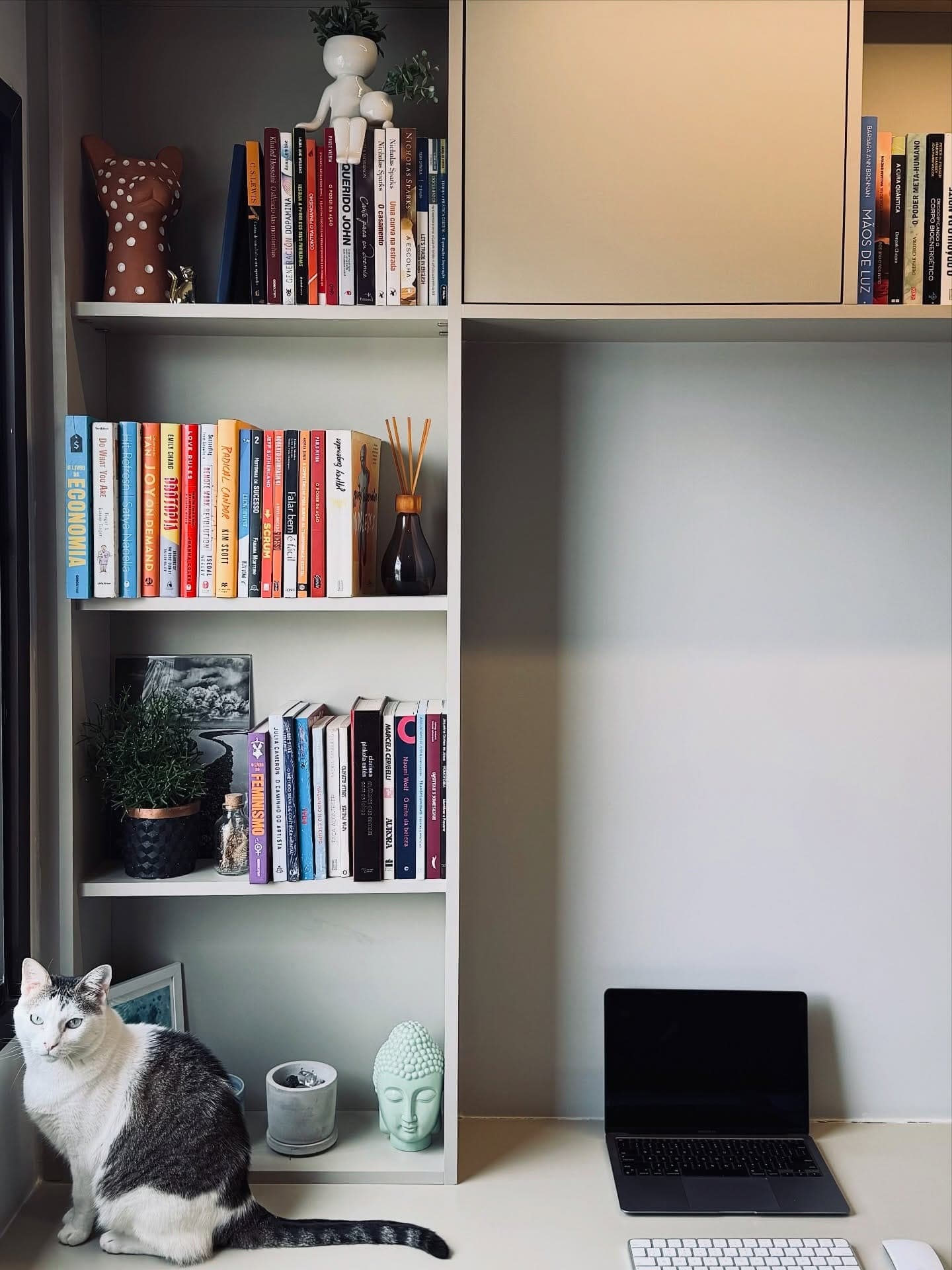 Living modular integrado em Atibaia — foto 5 de 5